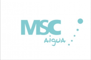 MSC AIGUES