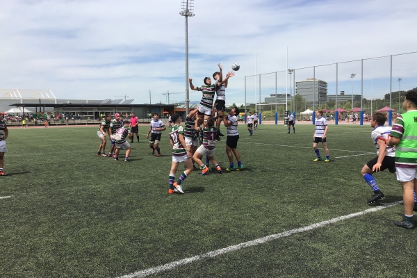 L'equip sub-18 del Club de Rugby Sant Cugat derrota el CP Les Abelles i el CR Málaga i es jugarà el passi a la final de l'estatal amb el CR El Salvador